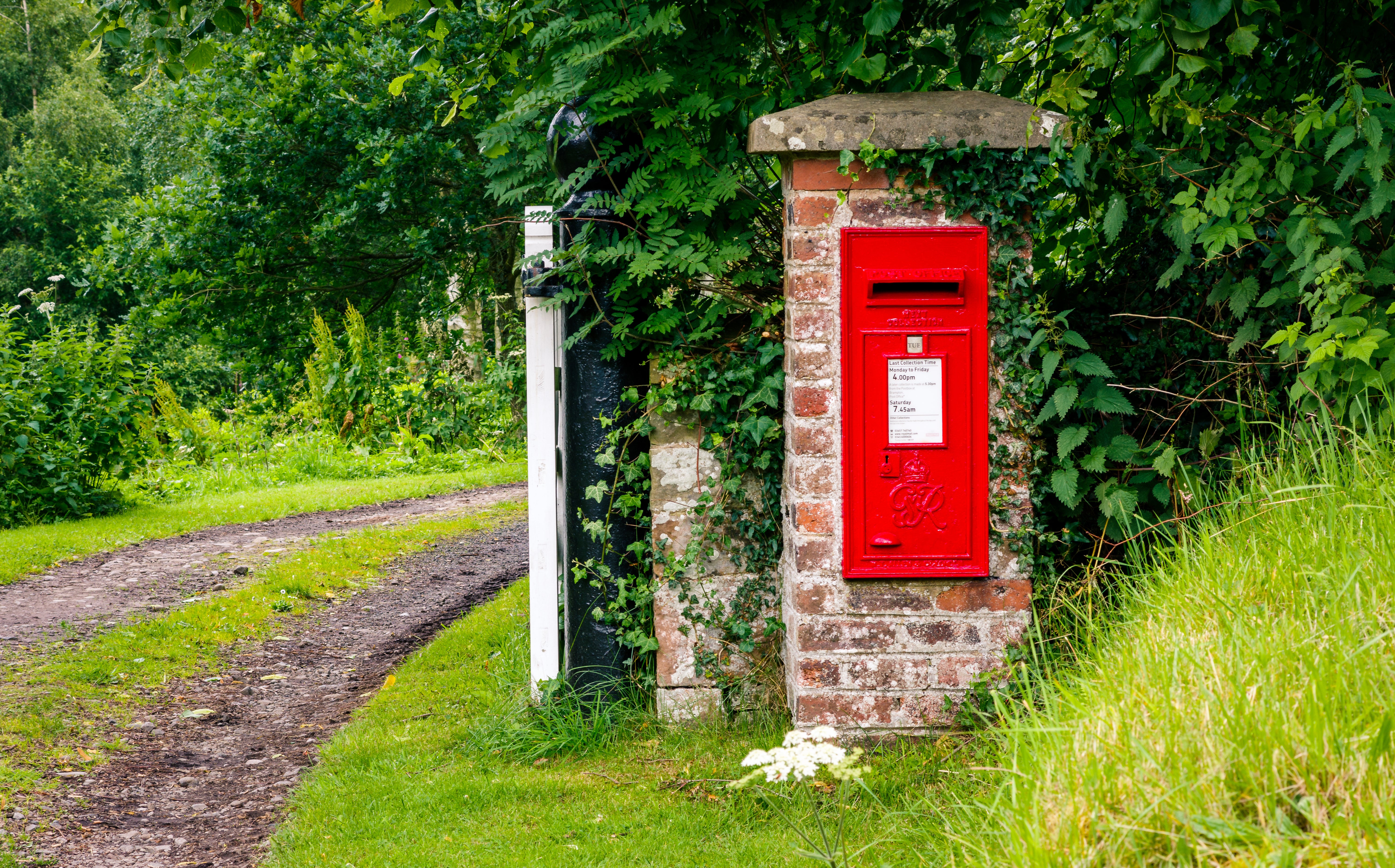 Addressing Envelopes in Calligraphy: Pencil to Postbox